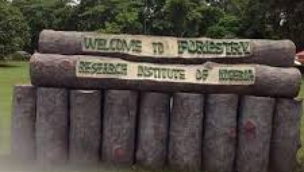 FRIN develops poly-herbal mixture for treatment of COVID-19 symptoms